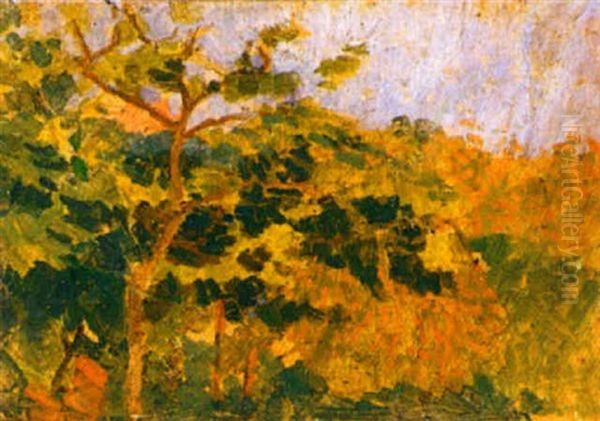 Le Sous-bois - view 1