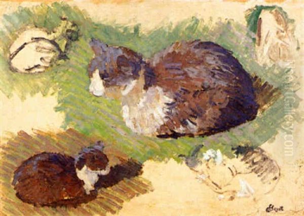 Etude De Chats - view 1