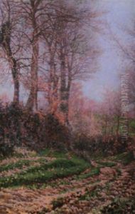 Paysage Aux Arbres