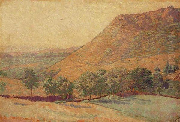 Paysage Aux Oliviers - view 1