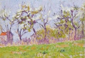 Arbres En Fleurs
