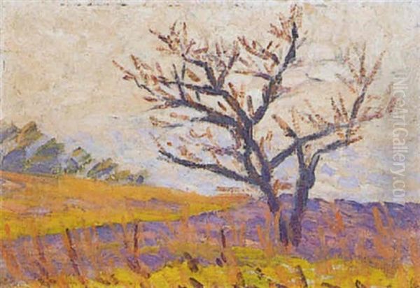 Arbre En Automne - view 1