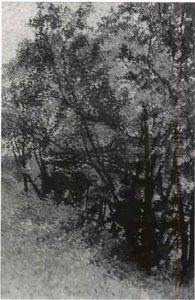 Les Arbres Les Arbres