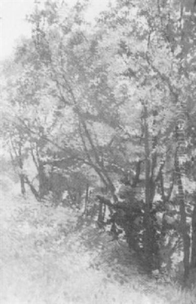 Paysage Aux Grands Arbres - view 1
