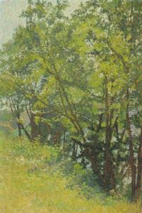 Paysage Aux Arbres Paysage Aux Arbres