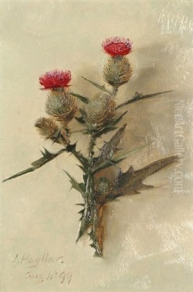 Study Of A Thistle - view 1