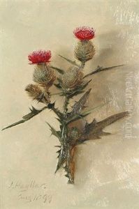 Study Of A Thistle by James Hayllar