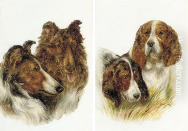 Two Collies Jock And Lucy - view 1