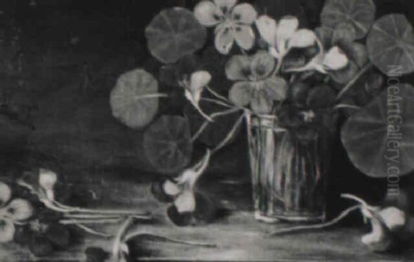 Nasturtiums - view 1