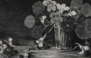 Nasturtiums