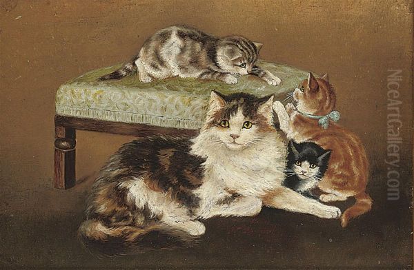 Kittens - view 1