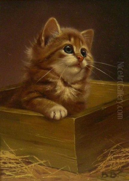 Kitten In A Box - view 1