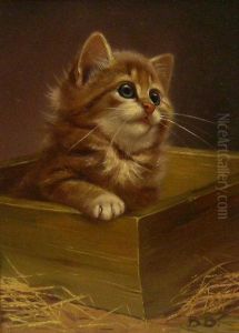 Kitten In A Box