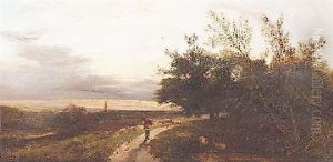 Reisigsammler Im Abendlicht Am Waldesrand