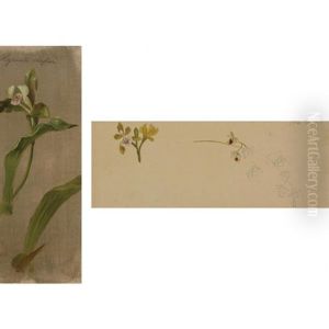 (i) Orchid (lycaste Deppei) by William Jacob Hays