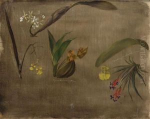 Four Orchids And A Bromeliad by William Jacob Hays