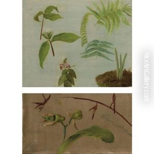 (i) Ferns And Wildflowers And (ii) Two Orchids (catasetum/gongora Atropurpurea): Two by William Jacob Hays
