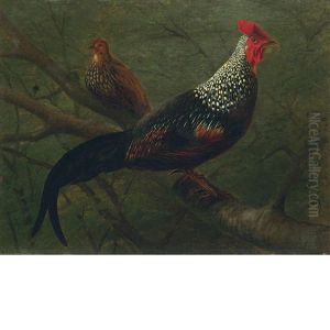Pheasants by William Jacob Hays