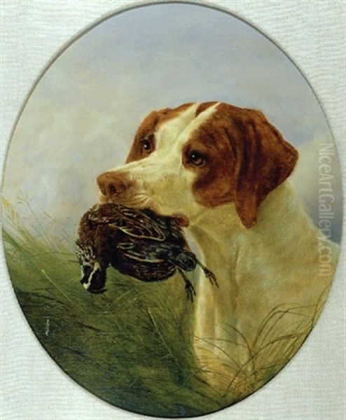 Pointer And Quail - A Good Retrieve - view 1