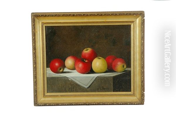 Still Life - view 1