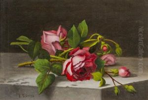 Still Life Of Roses