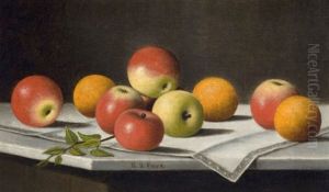 Apples And Oranges by Barton S. Hays