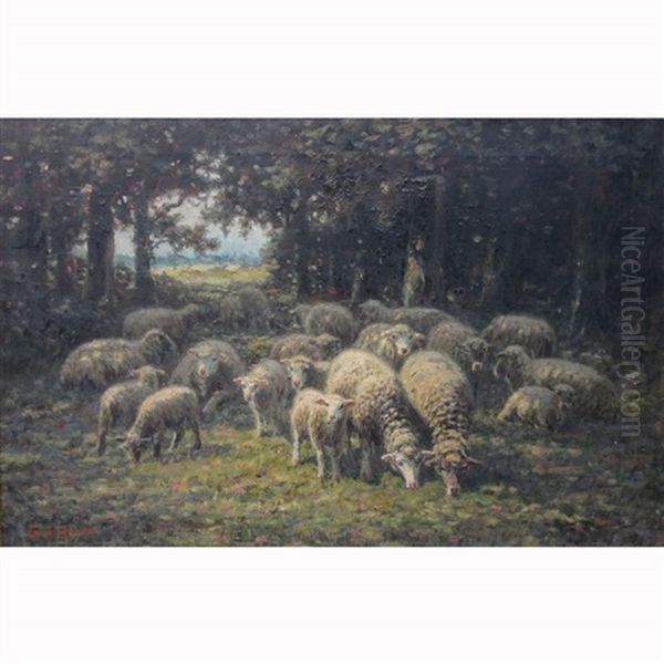 Sheep Grazing At The Edge Of A Wood - view 1