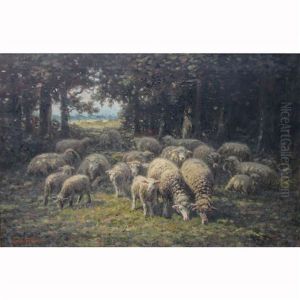 Sheep Grazing At The Edge Of A Wood