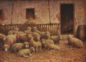 Sheep At Rest Near A Barn Door Sheep At Rest Near A Barn Door