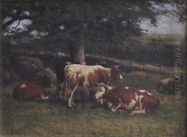 Untitled - Cows - view 1