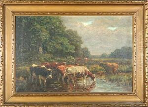 Cows At Water