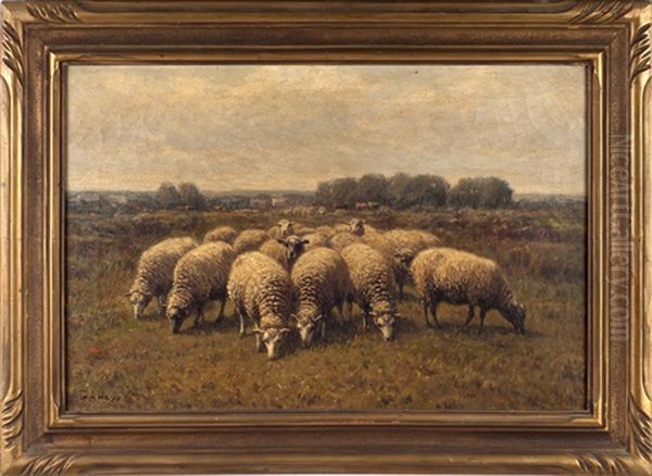 Flock Of Sheep In A Field - view 1
