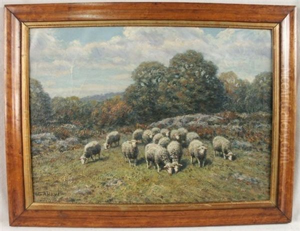 Flock Of Sheep - view 1