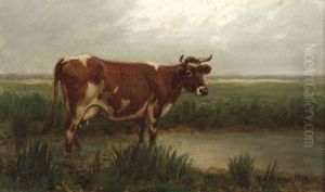 Bovine Portrait by George Arthur Hays