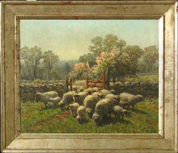Sheep In Pastoral Cottage Landscape - view 1