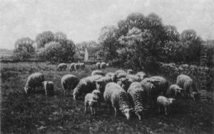 Sheep In Spring by George Arthur Hays
