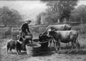 Woman Feeding The Calves