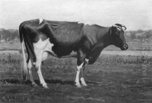 Portrait Of A Cow by George Arthur Hays