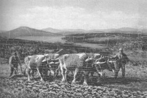 Plowing The Fields by George Arthur Hays