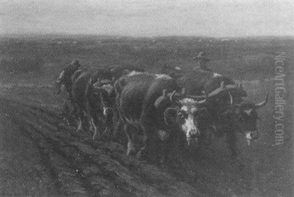 Farmer Plowing - view 1