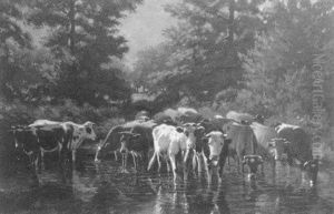 Cattle At The Stream Cattle At The Stream