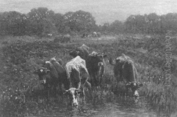 Cows At The River - view 1