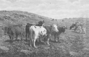 Sidehill Pasture