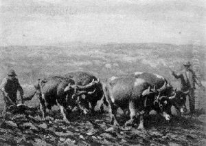 Oxen Plowing The Field by George Arthur Hays