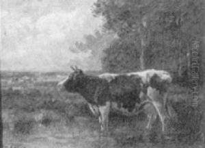Cow Listening