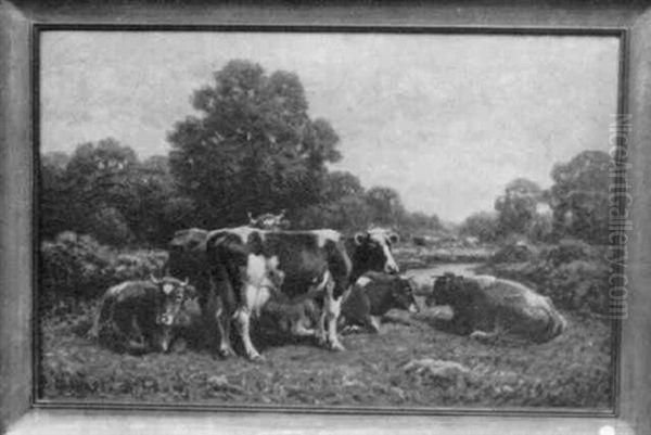 Cows Resting - view 1