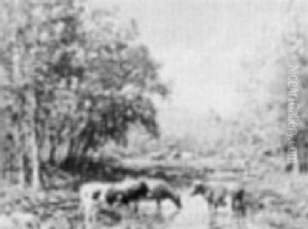 Cattle Watering - view 1