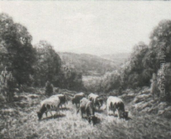 Cows Grazing - view 1