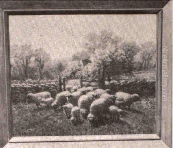 Sheep Coming Through The Bar Way - view 1