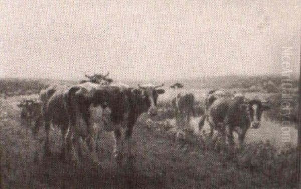 Cattle On The Meadow - view 1